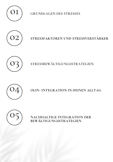 Masterclass Assessment